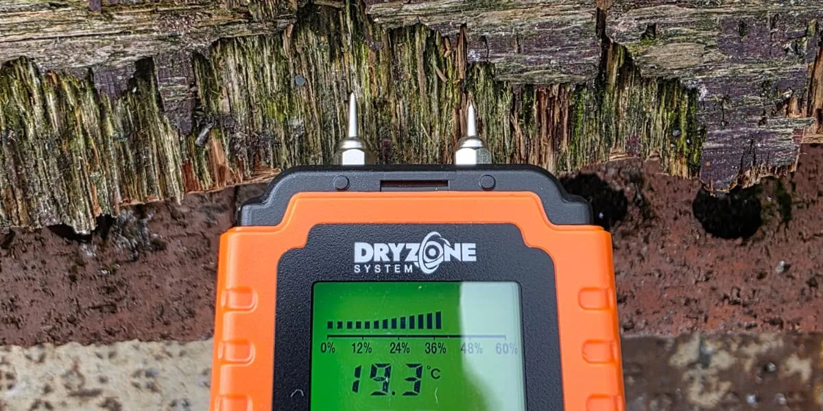 A Dryzone moisture meter reading 40.2% pushed into badly decayed roof timber during a wet rot survey in Dundee
