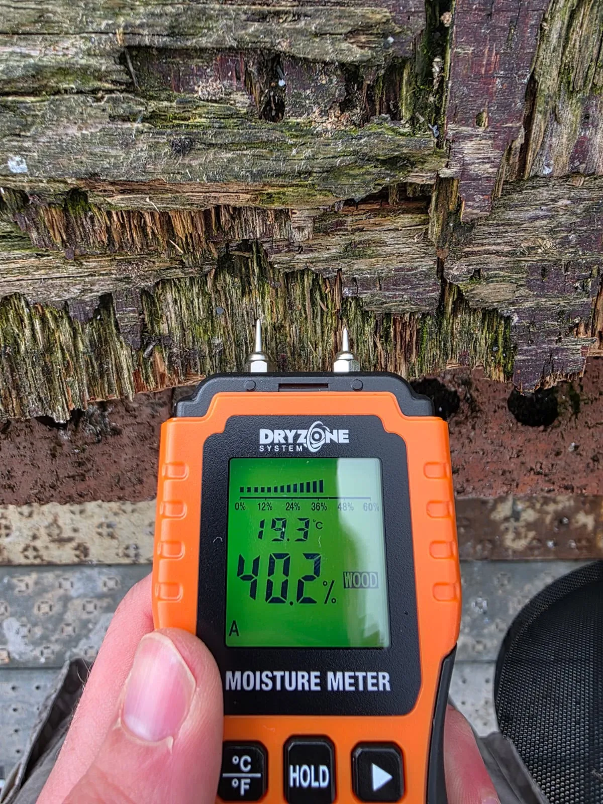 A Dryzone moisture meter reading 40.2% pushed into badly decayed roof timber during a wet rot survey in Dundee
