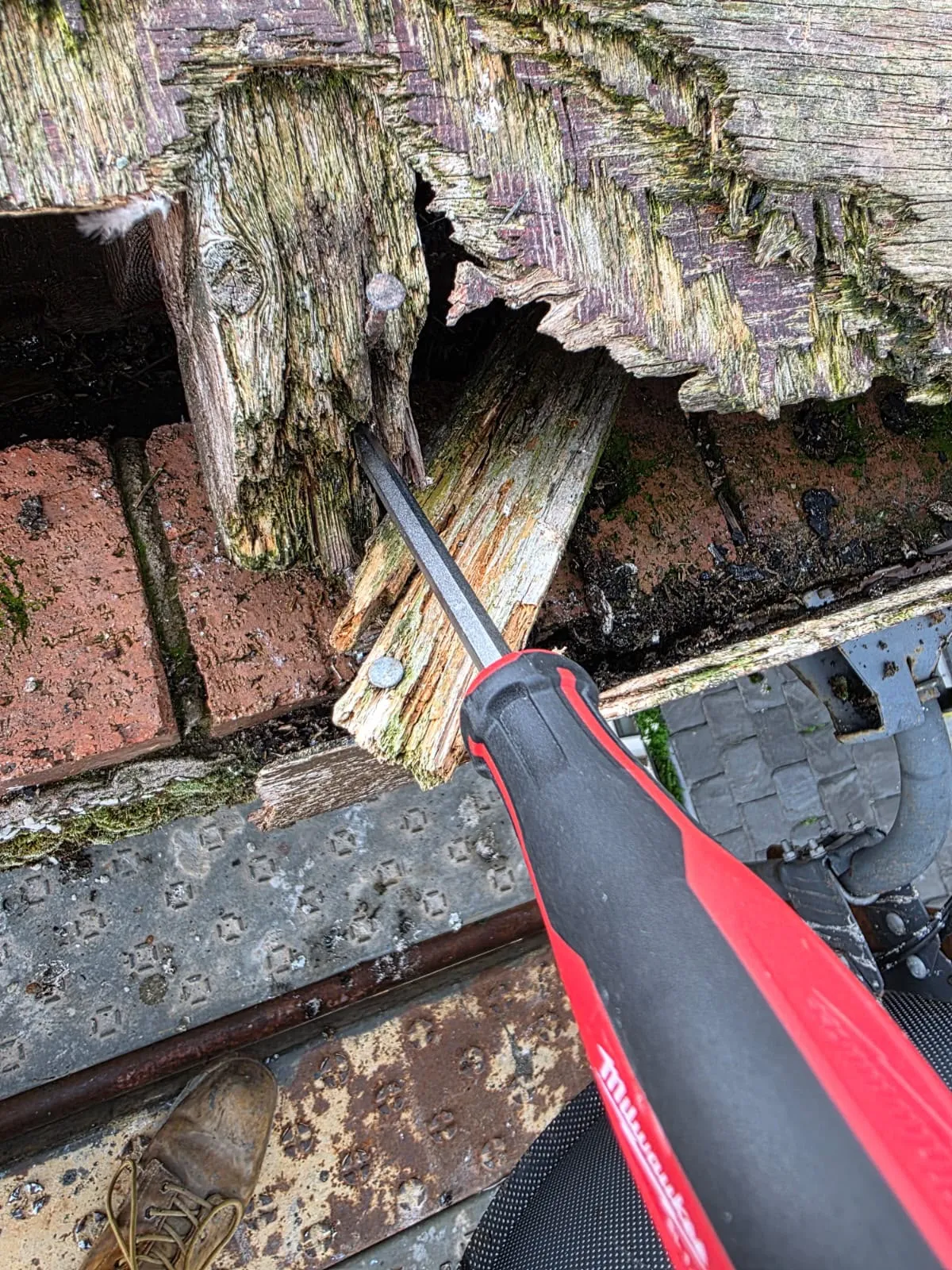A screwdriver pushed into soft, crumbling timber, showing wet rot damage during a survey in Dundee