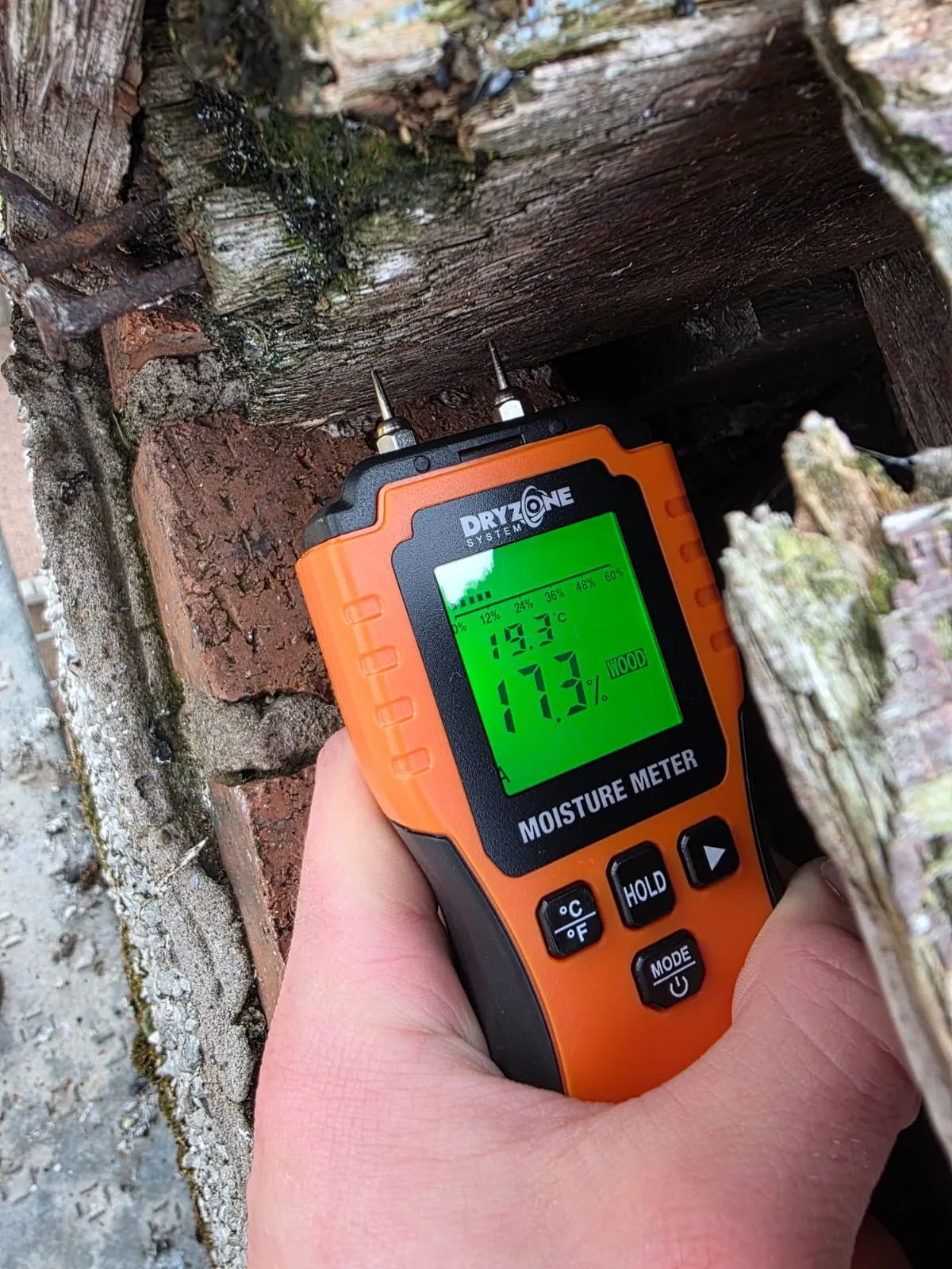 A moisture meter testing damp, rotten timber where it meets brickwork during a Dundee timber survey